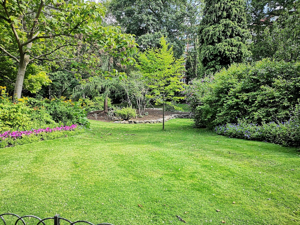 Garden with lawn and plants at a house